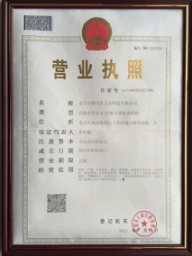 Company business license